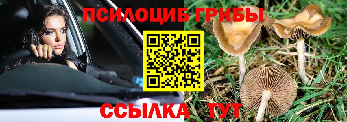 Галлюциногенные грибы прущие грибы Узловая